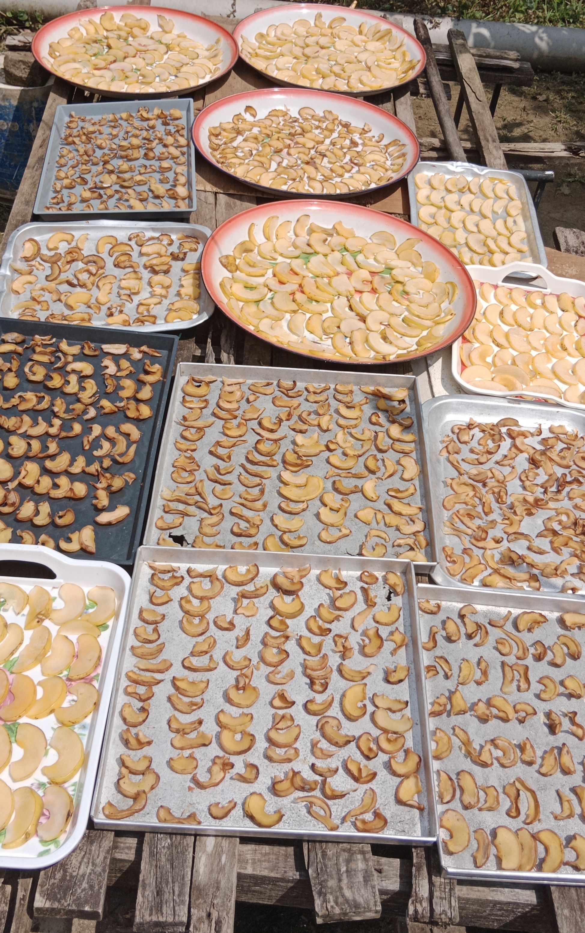 ASAM KEPING(GELUGUR)