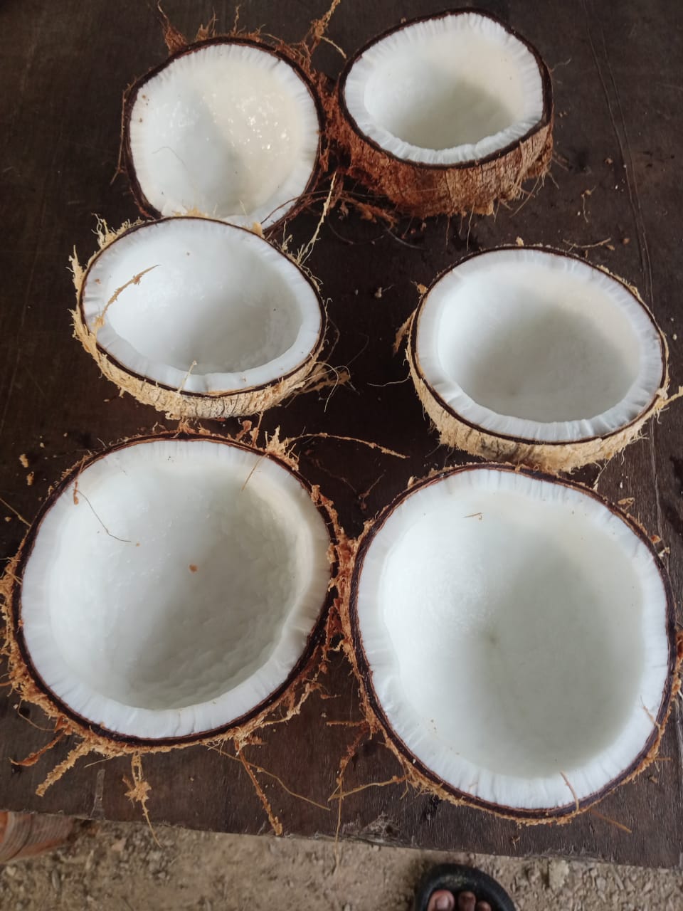 Kelapa Tua