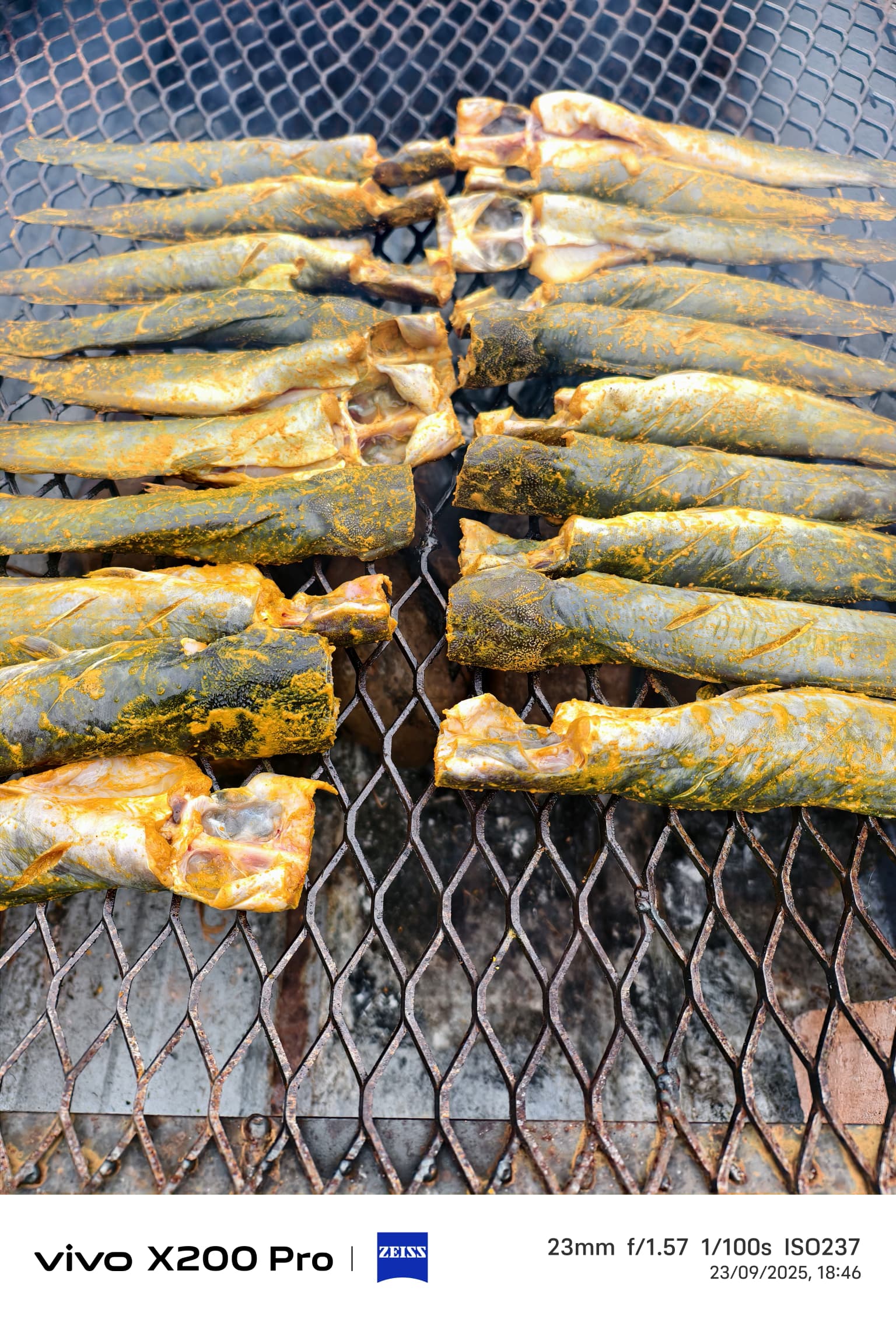 Ikan Keli Talapiar Segar salai